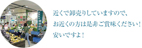 近くで卸売りしていますので、お近くの方は是非ご賞味ください！安いですよ！